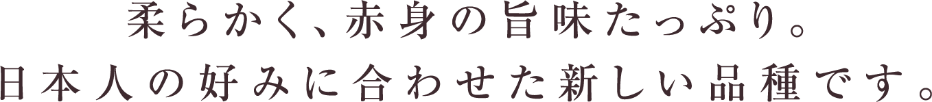 柔らかく、赤身の旨味たっぷり。日本人の好みに合わせた新しい品種です。