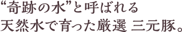 ”奇跡の水”と呼ばれる天然水で育った厳選 三元豚。