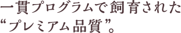 一貫プログラムで飼育された”プレミアム品質”。